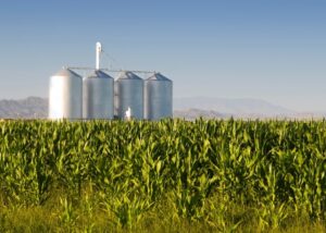 silos de maíz