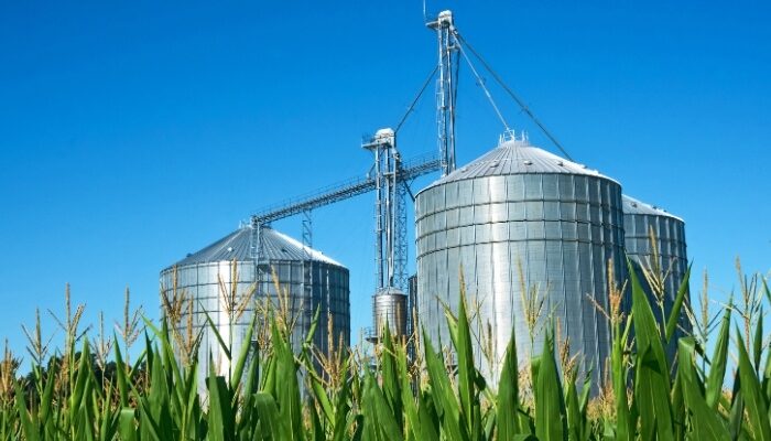 silos de maíz